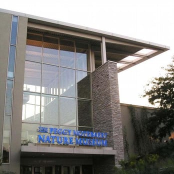 Peggy Notebaert Nature Museum - Museums Near Me - Chicago, Illinois Peggy Notebaert Nature Museum - Museums Near Me - Chicago, Illinois