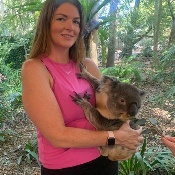 Lone Pine Koala Sanctuary - Holding a koala! They also provided a printed portrait - Zoos Near Me - Fig Tree Pocket, QLD
