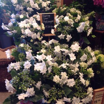 The Fresh Market - Grocery Near Me - Rogers, Arkansas