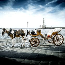 Olympia Express Travel Agency - Chania Venetian Port