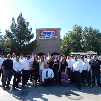 Dewey Pest & Termite Control - Pest Control Near Me - Thousand Palms, California Dewey Pest & Termite Control - Pest Control Near Me - Thousand Palms, California