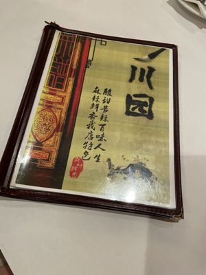 Menu photo 4 Cheng Du 23 Wayne, NJ