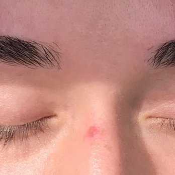 Chandnis Spa and Brows - Eyebrow Services Near Me - Raleigh, North Carolina Chandnis Spa and Brows - Eyebrow Services Near Me - Raleigh, North Carolina