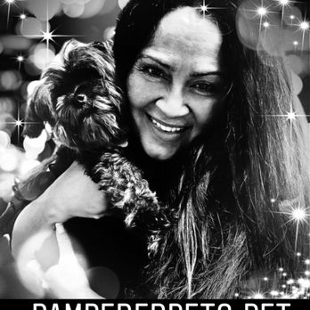 Pampered Pets - Pampered Pets Owner/Operator Sharon G. and her fur baby Freddy - Dog Walkers Near Me Pampered Pets - Pampered Pets Owner/Operator Sharon G. and her fur baby Freddy - Dog Walkers Near Me