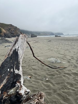 Samuel H. Boardman State Scenic Corridor by null
