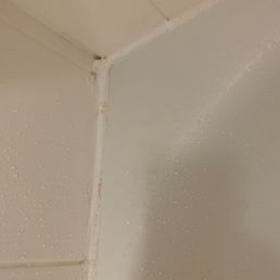 Mild in shower. Hair on the wall. Mild in shower. Hair on the wall.