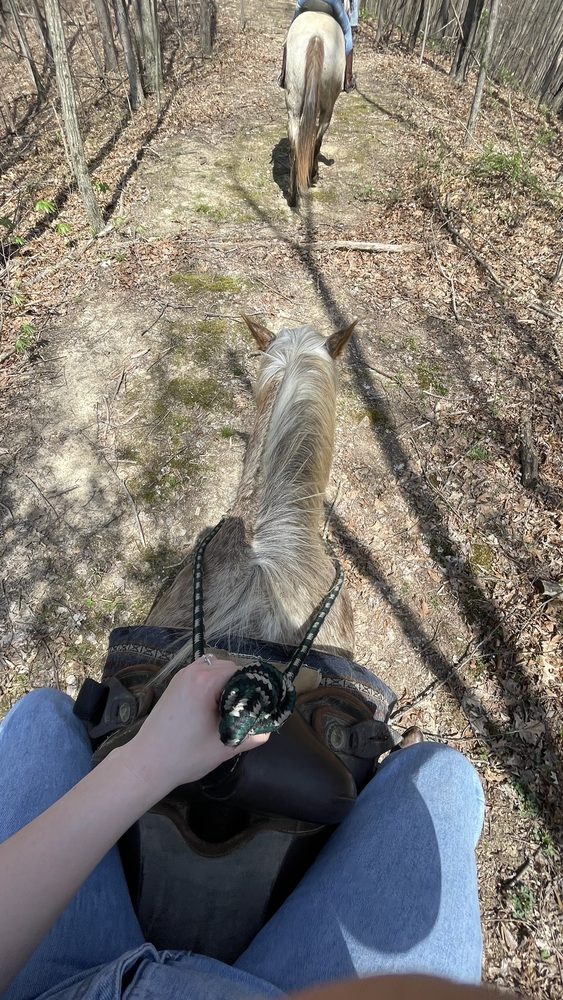 The Spotted Horse Ranch - equestrian in Laurelville, OH