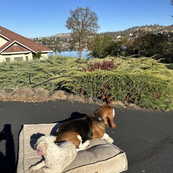 Love's Pets - Pet Stores Near Me - Agoura Hills, California