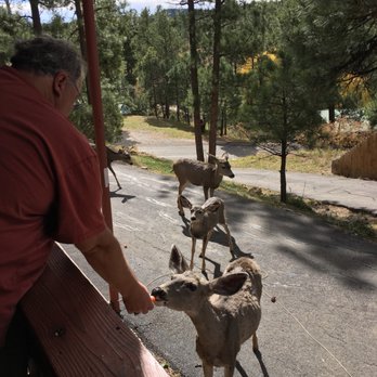 Cozy Cabins Real Estate - Vacation Rentals Near Me - Ruidoso, New Mexico