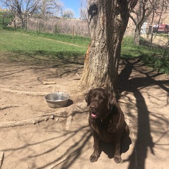New Terrain Brewing - Bring your own water!! - Breweries Near Me - Golden, Colorado