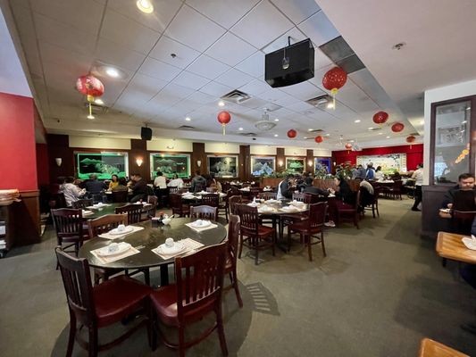 Silver Fountain by null