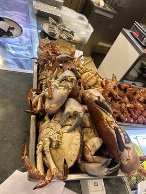 Mar do Inferno by null