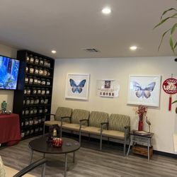 Great Wall Chinese Medicine Acupuncture