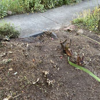 Oregons Finest Lawns - Landscaping Near Me