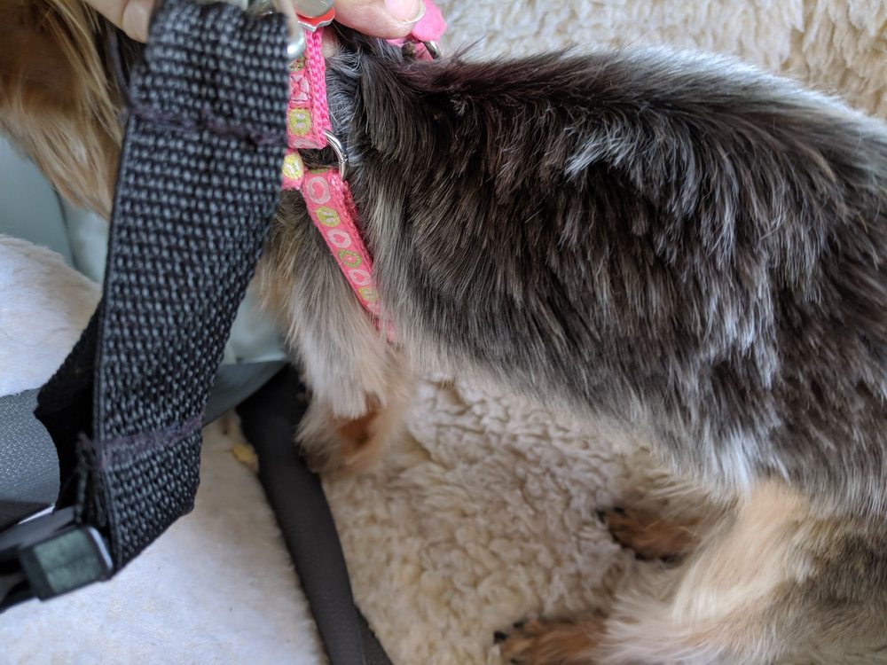 BEST CARE ANIMAL HOSPITAL 63 Photos & 25 Reviews 6041 Trouble Creek