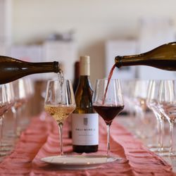 Private Tasting experience