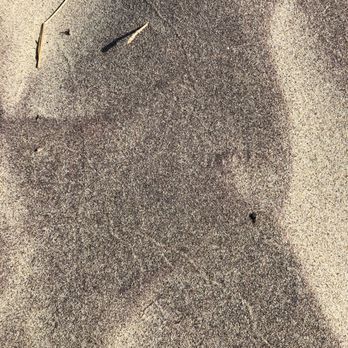 Pfeiffer Beach - Not so purple, purple sand. - Beaches Near Me - Big Sur, California Pfeiffer Beach - Not so purple, purple sand. - Beaches Near Me - Big Sur, California