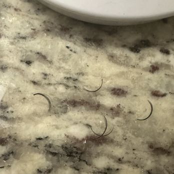 A Lash Life - Lashes that I found literally just sitting on my cheek throughout the day - Eyelash Service Near Me - Atlanta, Georgia