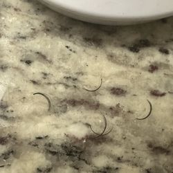 A Lash Life - Lashes that I found literally just sitting on my cheek throughout the day