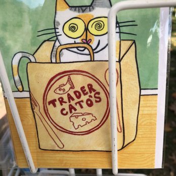 Wilton Farmers Market - a cat in a box - Farmers Market Near Me - Wilton, Connecticut Wilton Farmers Market - a cat in a box - Farmers Market Near Me - Wilton, Connecticut