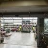Malmborg's Garden Center gift card
