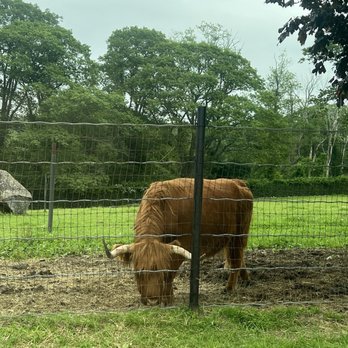 Action Wildlife Foundation - Community Service/Non-Profit Near Me - Goshen, Connecticut
