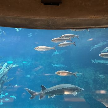 Biodôme de Montréal - Aquariums Near Me - Montreal, Quebec Biodôme de Montréal - Aquariums Near Me - Montreal, Quebec