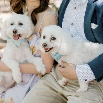 Oh Lovely Wedding - Event Photography Near Me - Carmichael, California Oh Lovely Wedding - Event Photography Near Me - Carmichael, California