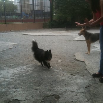 DiMattina Dog Park - Needs some tlc! - Parks Near Me - Brooklyn, New York DiMattina Dog Park - Needs some tlc! - Parks Near Me - Brooklyn, New York