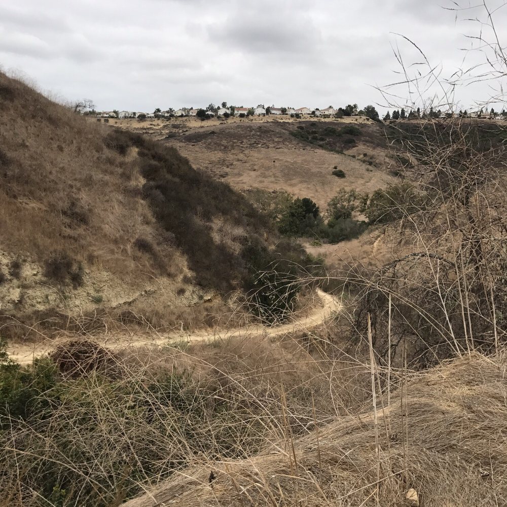 Lopez Canyon - Hiking Near Me - San Diego, California