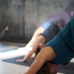 Revolution Therapy and Yoga