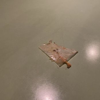 Tender Greens - The paper cooked with my burger. I spit out two smaller pieces and pulled this out after I realized what it was. - Salad Near Me - Irvine, California Tender Greens - The paper cooked with my burger. I spit out two smaller pieces and pulled this out after I realized what it was. - Salad Near Me - Irvine, California