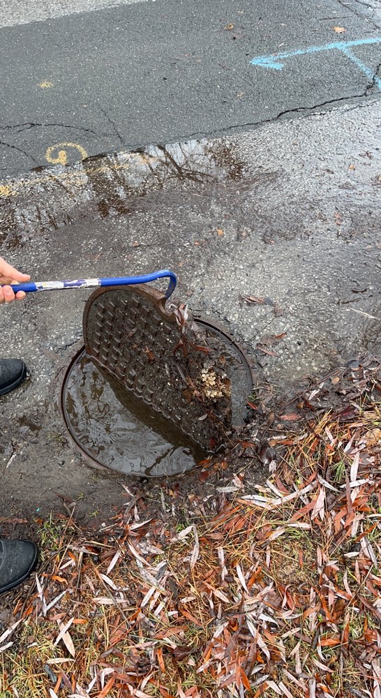Slide of Clear Drains