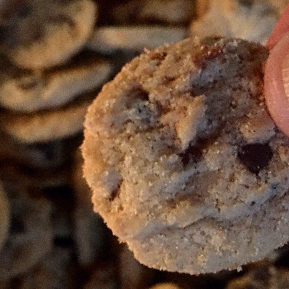 TRADER JOE’S 156 Photos & 122 Reviews 1211 Chicago Ave, Evanston