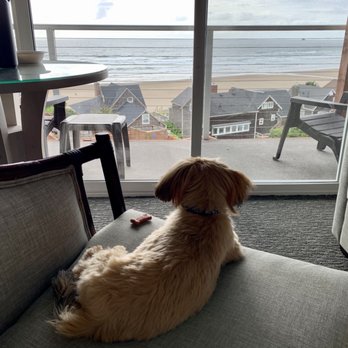 Hallmark Resort & Spa Cannon Beach - Spoiled pup - Resorts Near Me - Cannon Beach, Oregon Hallmark Resort & Spa Cannon Beach - Spoiled pup - Resorts Near Me - Cannon Beach, Oregon