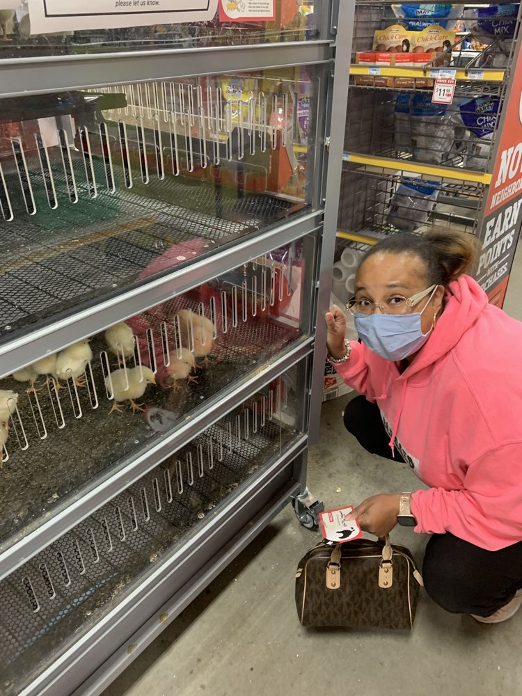 BEYOND BLESSED NOTARY 18 Photos Powder Springs, Notaries Phone Number Yelp