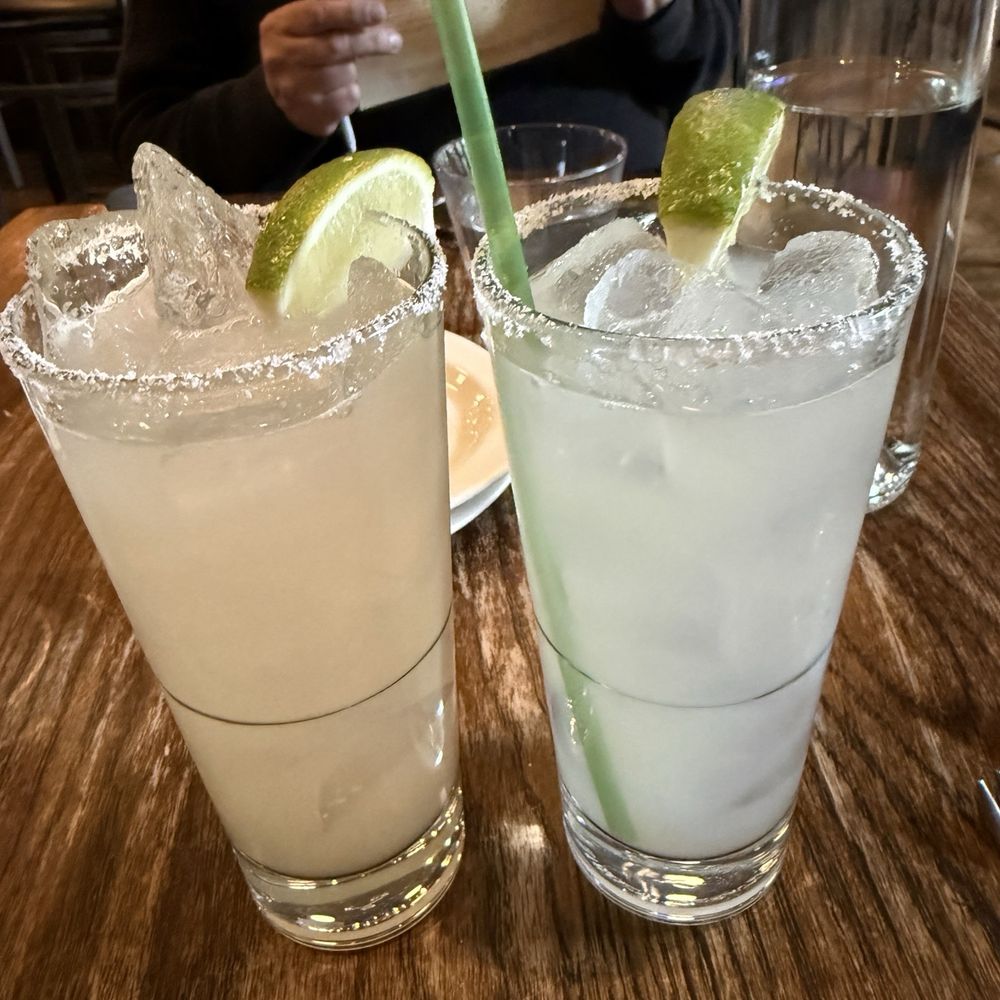 Taylor Shellfish Oyster Bar - The margaritas & cocktails are amazing, not tiny. - Seafood Near Me - Seattle, Washington Taylor Shellfish Oyster Bar - The margaritas & cocktails are amazing, not tiny. - Seafood Near Me - Seattle, Washington
