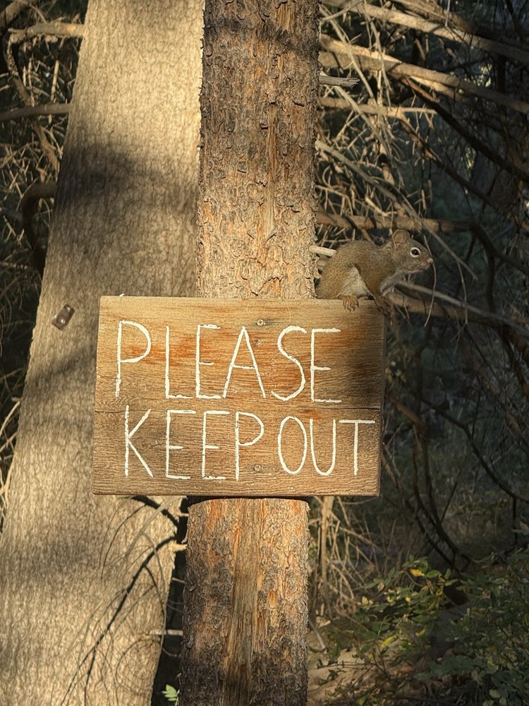 Vail Nature Center Image