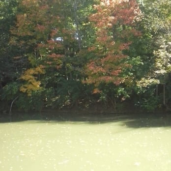 Central Canal Towpath - Beautiful fall day along towpath. - Parks Near Me - Indianapolis, Indiana