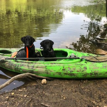 Herman's Hangout - Rush and Rose learning how to kayak! - Pet Training Near Me - Fort Atkinson, Wisconsin