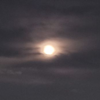 Overstory Restaurant - Moon picture from the rooftop - Cocktail Bars Near Me - Duluth, Georgia Overstory Restaurant - Moon picture from the rooftop - Cocktail Bars Near Me - Duluth, Georgia