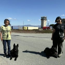 Bite Club K9 Training - And there they sit....once reactive towards each other. Thank you Bite Club