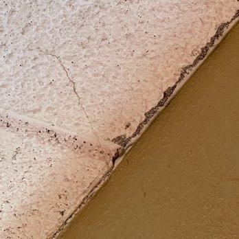 Quality Inn Dubuque Near Galena And Hwy 20 - Cobwebs and probably mold on ceiling - Hotels Near Me - Dubuque, Iowa Quality Inn Dubuque Near Galena And Hwy 20 - Cobwebs and probably mold on ceiling - Hotels Near Me - Dubuque, Iowa