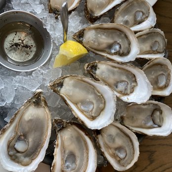 Taylor Shellfish Oyster Bar - Seafood Near Me - Seattle, Washington