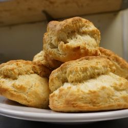 Biscuit Bar - Mount St. Biscuit