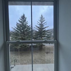 Nestledown Bed and Breakfast - The view from our window of room #5.
