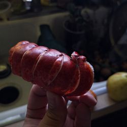 Tokyo Emperor - Shell from lobster from the filet mignon and lobster tail plate
