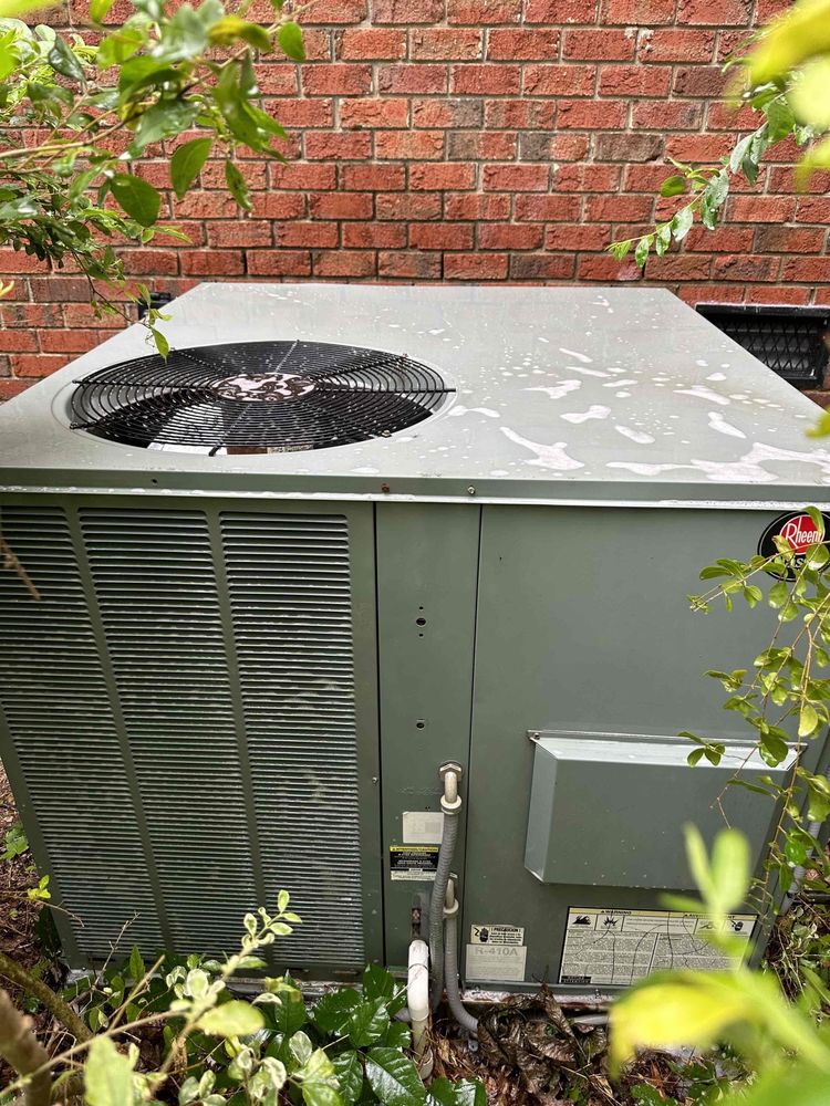 Slide of Swift Brothers