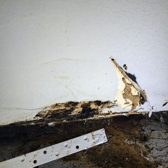 Goose Pest Control - Termite damage in garage drywall - Pest Control Near Me