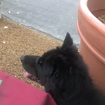 Clementine's Steak House - Dog friendly outdoor seating - Steakhouses Near Me - Carpinteria, California